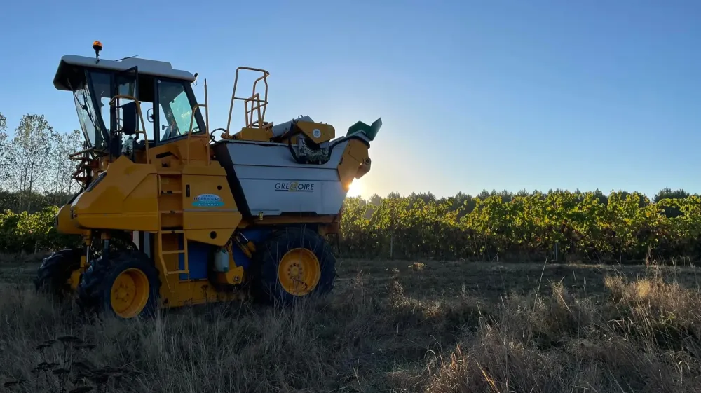 Travaux forestiers près de Gironde